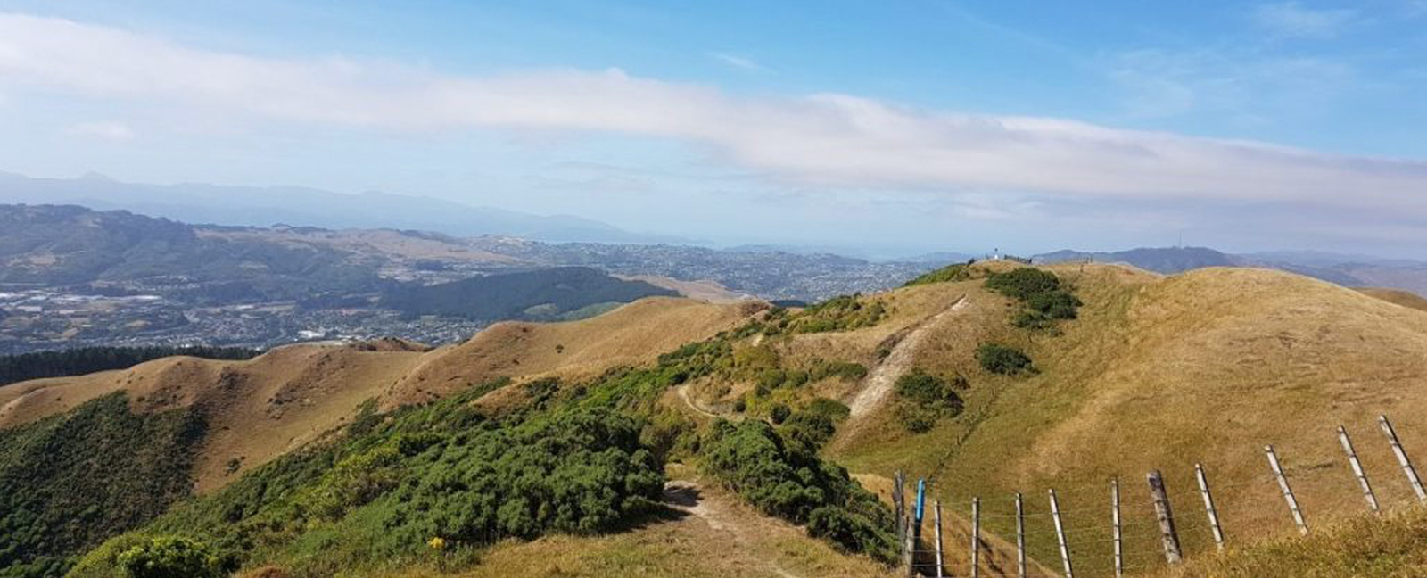 New Zealand walks on te araroa trail